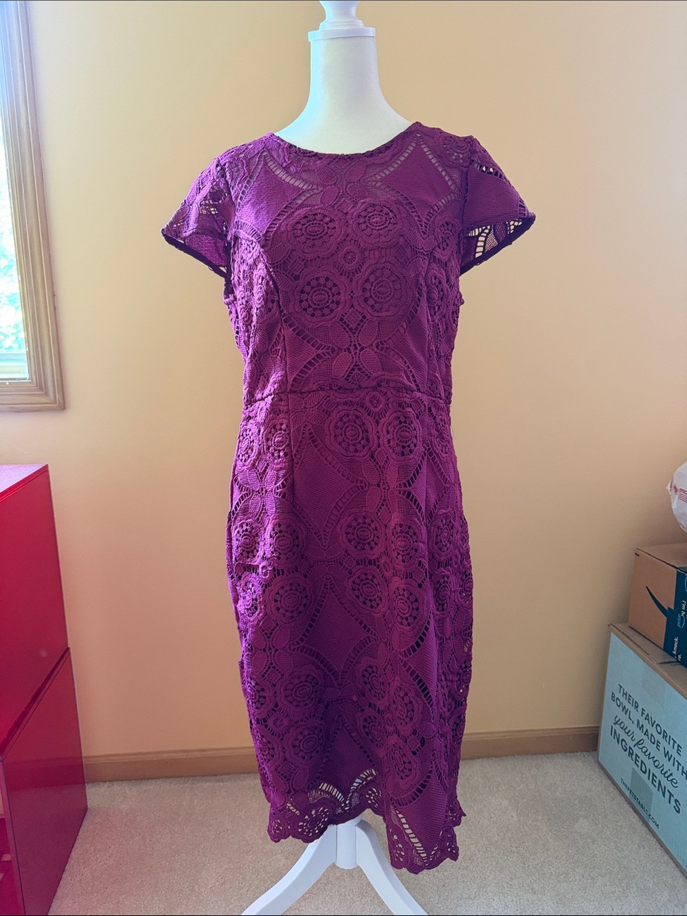 LIZA LUXE Magenta Purple Dress